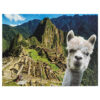 Rompecabezas Machu Picchu 500 piezas - Imagen 2